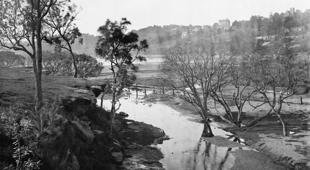 Rushcutters Creek, 1870-75 (Mitchell Library, State Library of NSW - ON 4 Box 56 No 253)